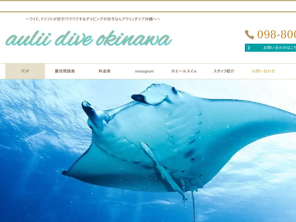 ꌧXpś@EcǊԁFaulii dive okinawa