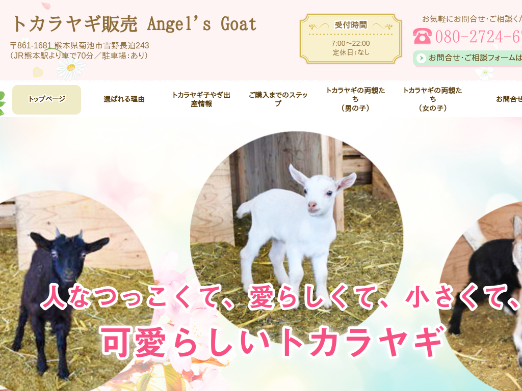 F{erś@gJMi^Mj̔ Angel&#39;s Goat