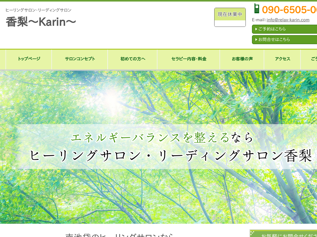 쌧kvŚ@q[OTE[fBOT@`Karin`